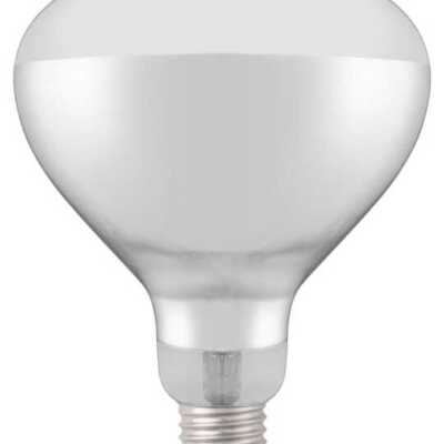 Lâmpada de calor de infravermelhos, Branco, 230V/250W, ø125x(H)170mm