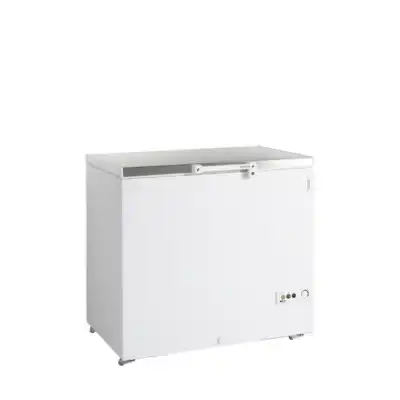 Arca Congeladora  FR305S SL