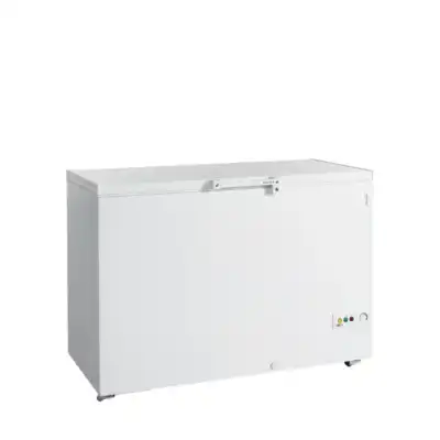 Arca Congeladora  FR405 SL