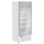 Armário Expositor de Congelação 335L -24/-18ºC